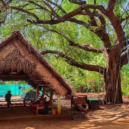 Travellers Tribe By Livelehood Habitat Pansiyon Auroville Dış mekan fotoğraf
