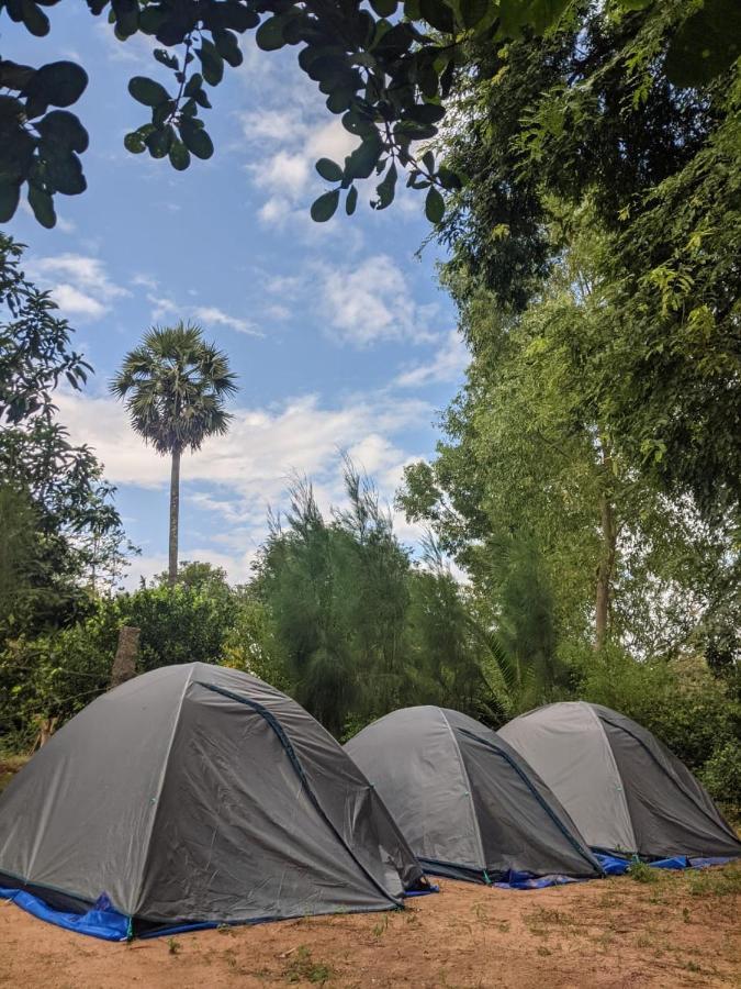 Travellers Tribe By Livelehood Habitat Pansiyon Auroville Dış mekan fotoğraf