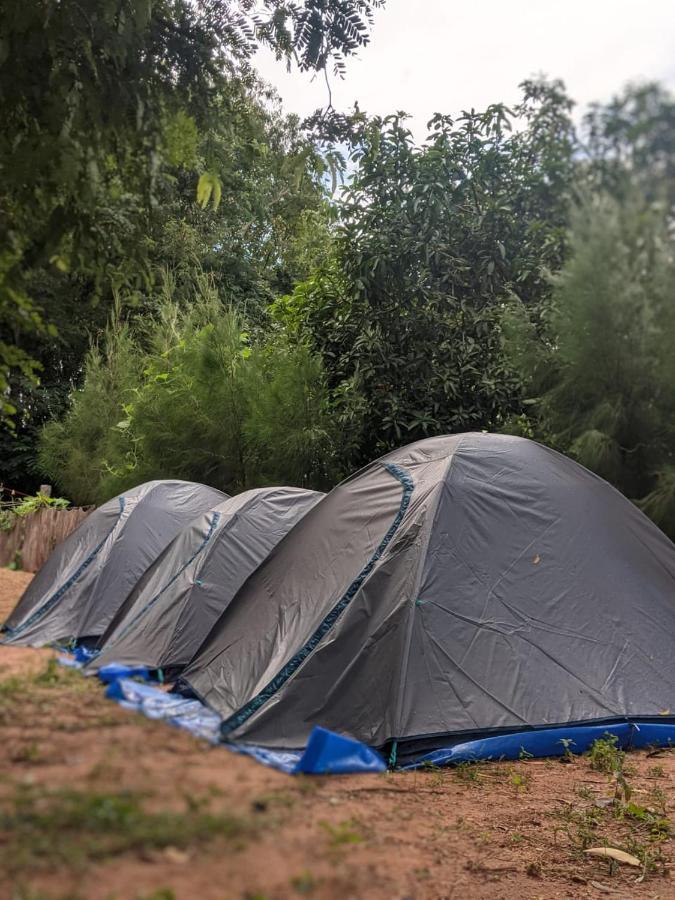 Travellers Tribe By Livelehood Habitat Pansiyon Auroville Dış mekan fotoğraf