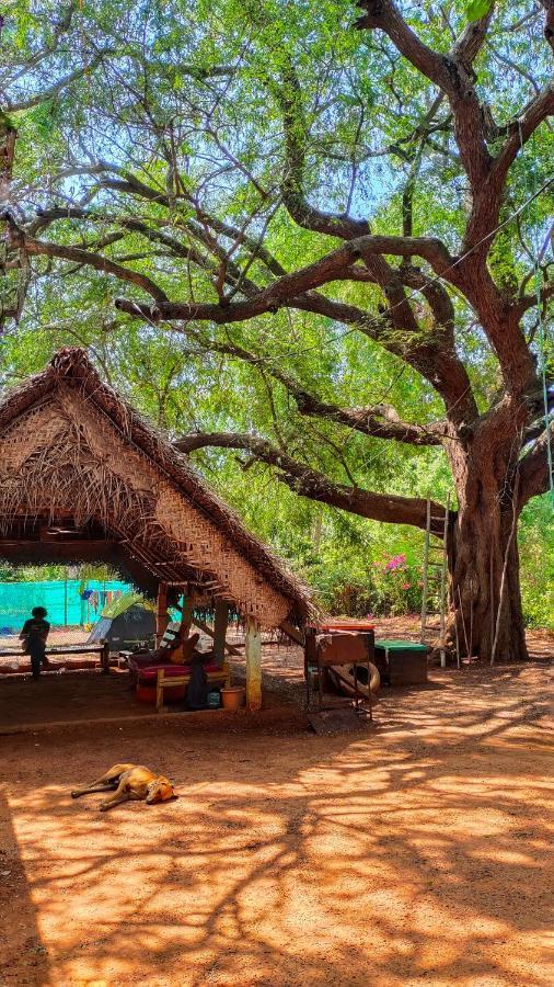 Travellers Tribe By Livelehood Habitat Pansiyon Auroville Dış mekan fotoğraf